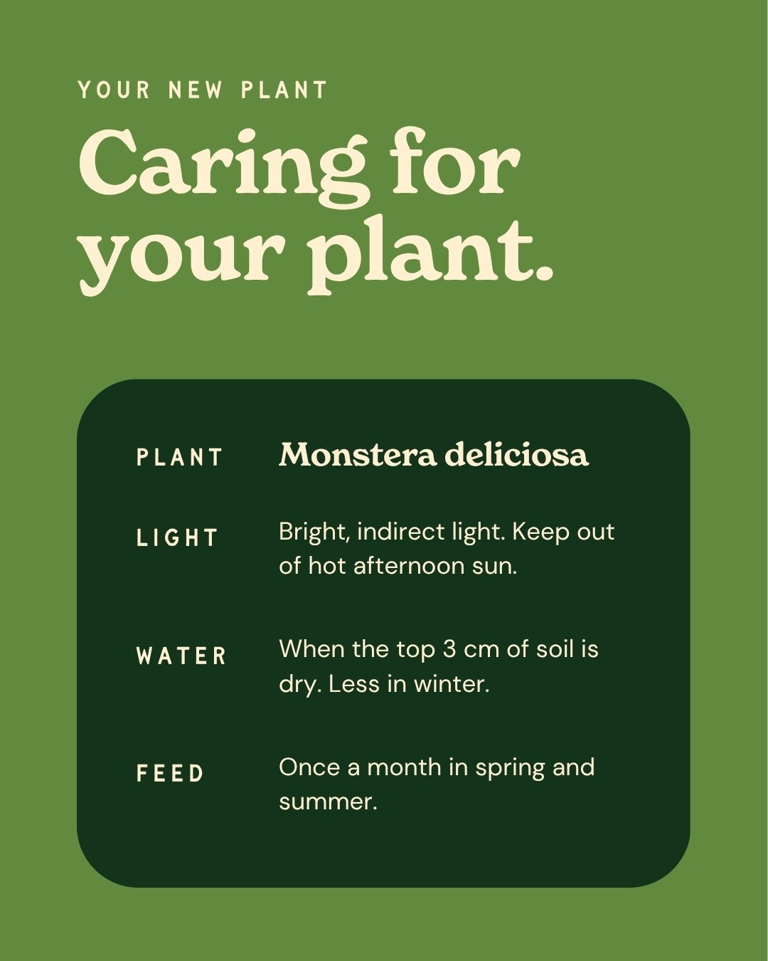 A plant care card to send home with every plant. Light, water and feed, in the brand.