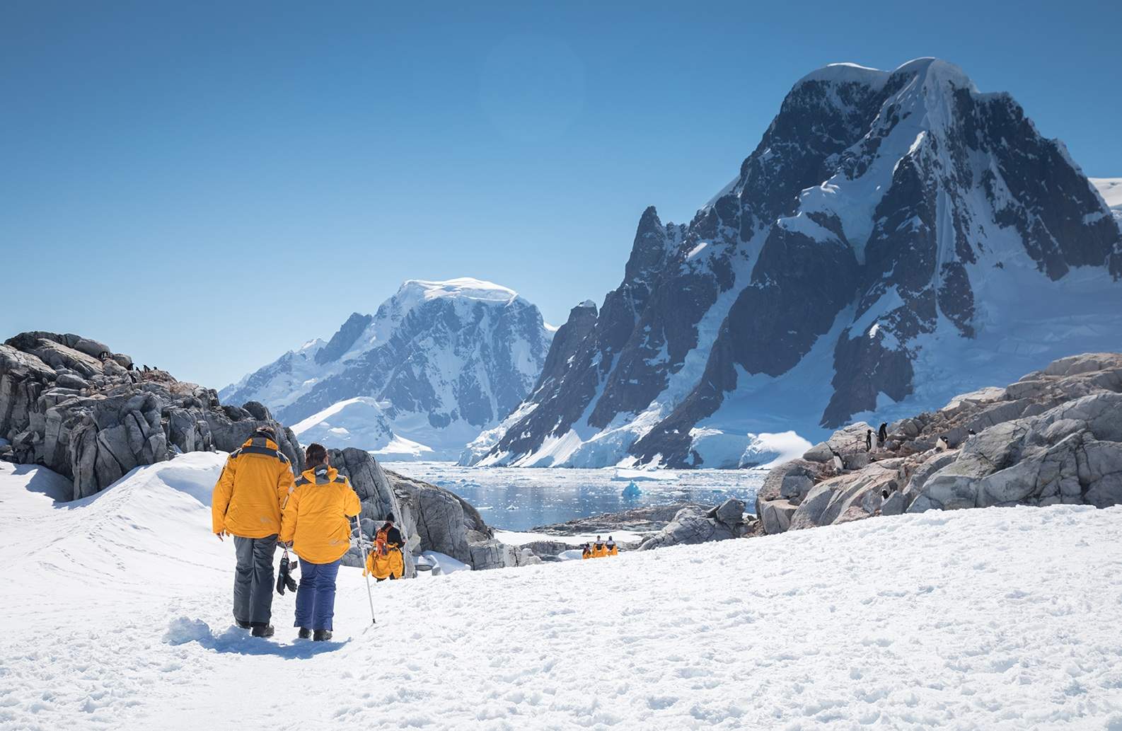 Guests exploring Antarctica with Quark Expeditions