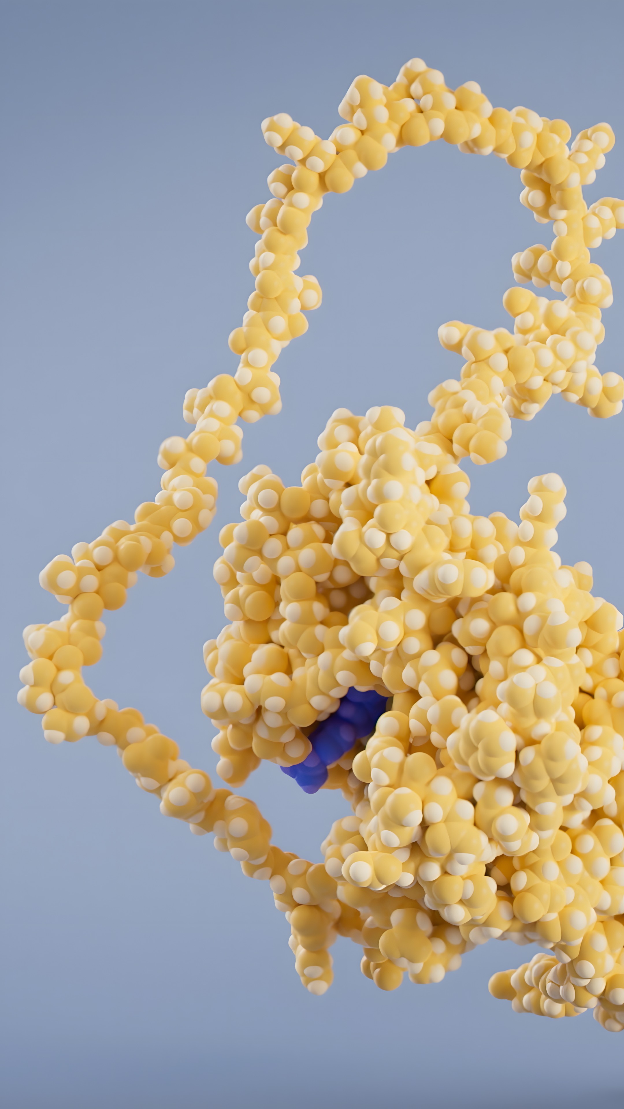 Plixorafenib molecule inside the binding pocket on the BRAF kinase