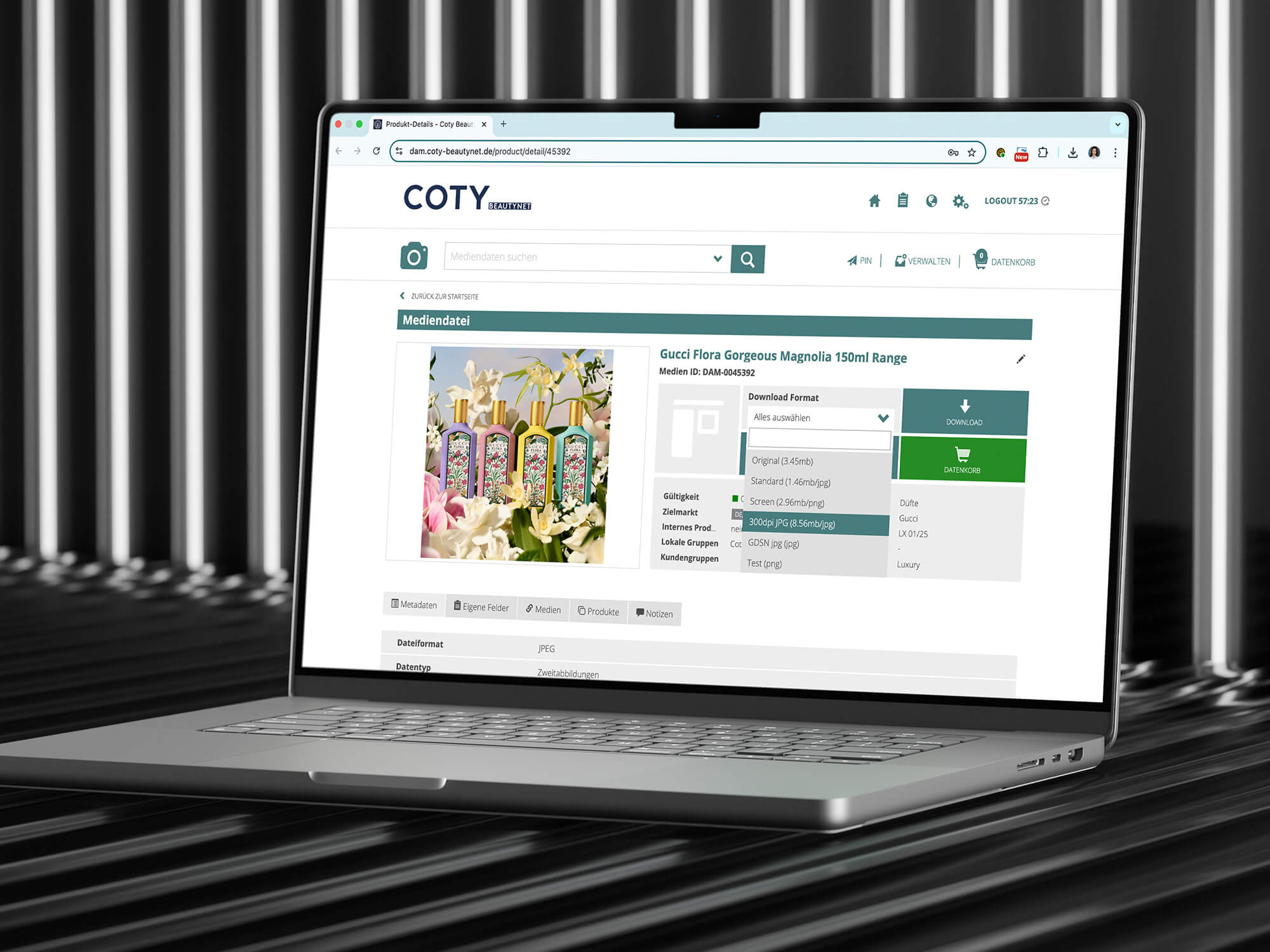 dietz-digital-case-coty