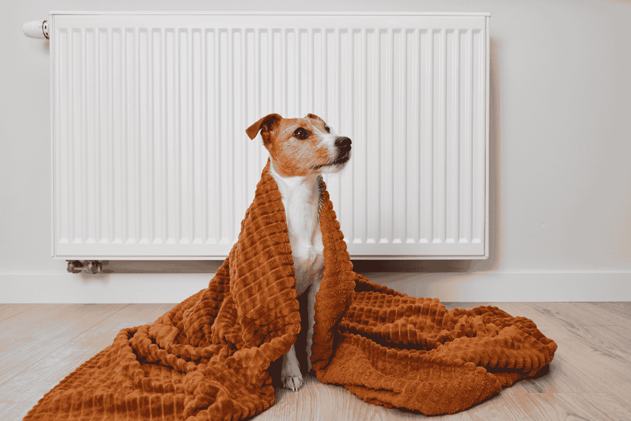 Je niedriger die Vorlauftemperatur, desto weniger Strom braucht die Wärmepumpe.