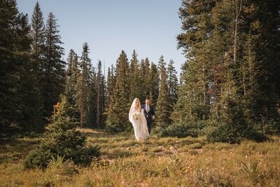The bride and groom walk together through a sunlit clearing surrounded by evergreens.
