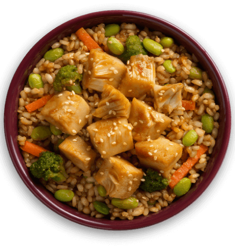 Teriyaki Chicken and Rice