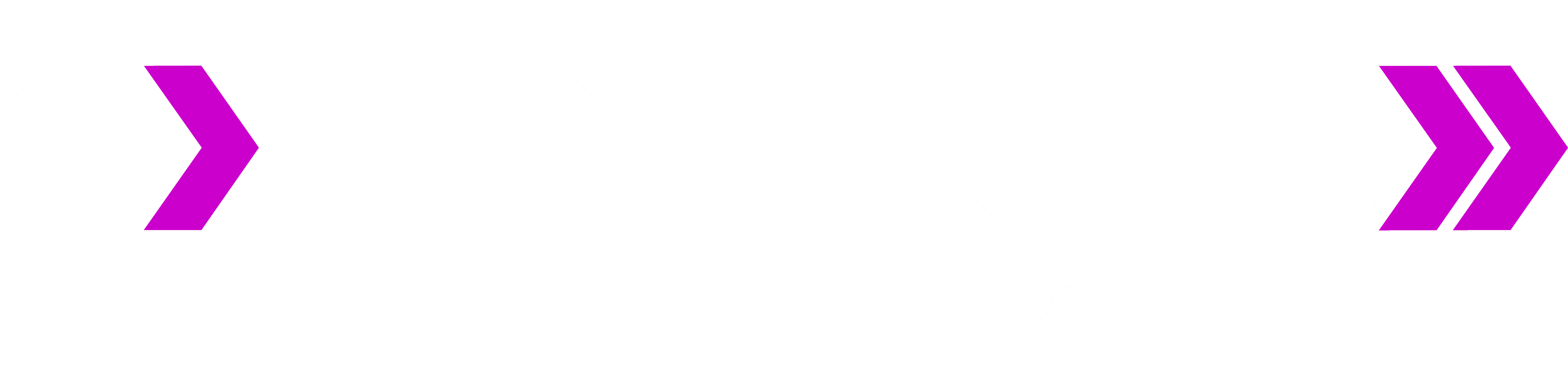 Logo of "accelerate" with a pink accent, featuring an arrow symbol, representing progress and innovation.