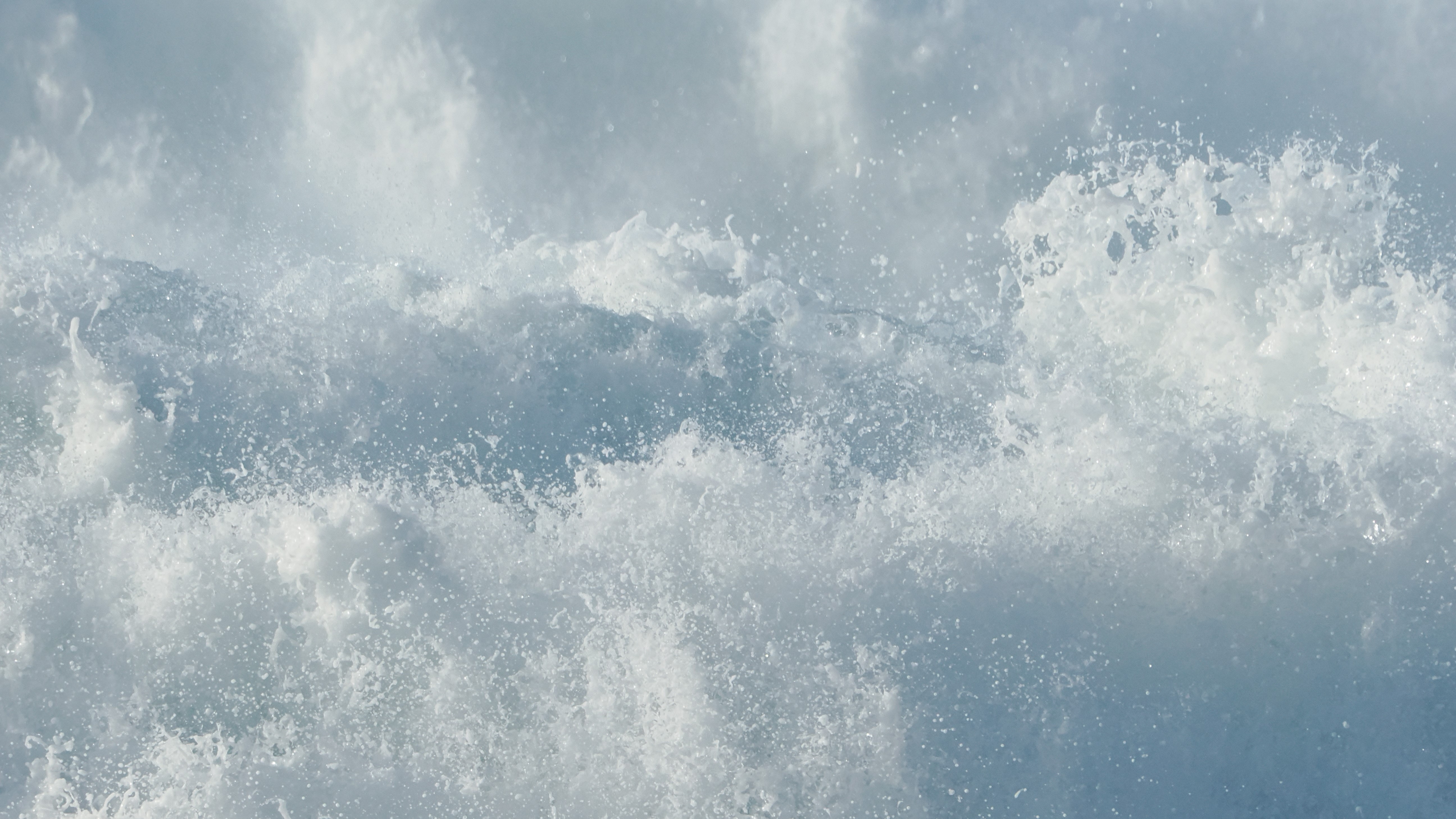 photo of seashore