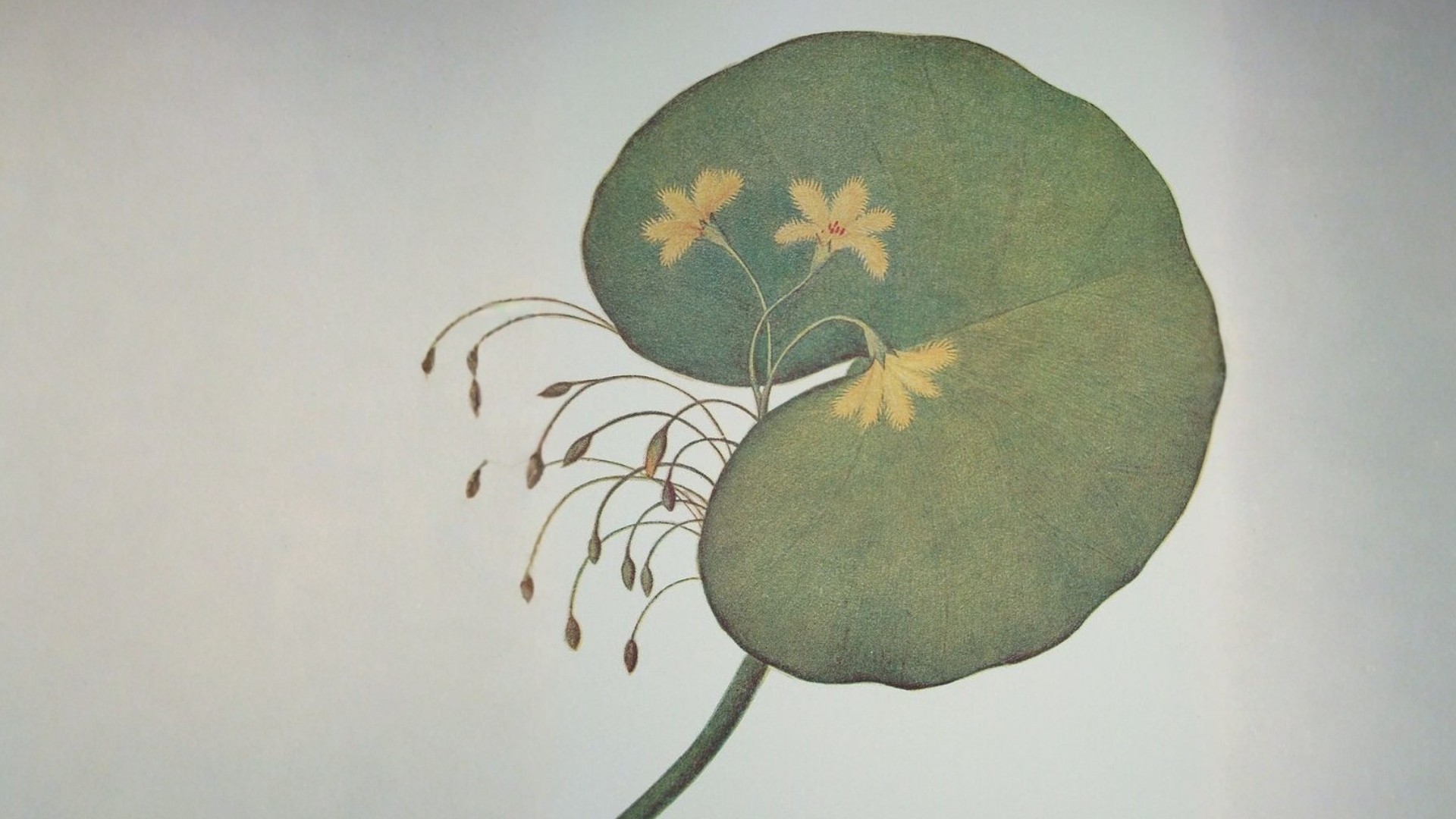 Close-up of a couple hugging