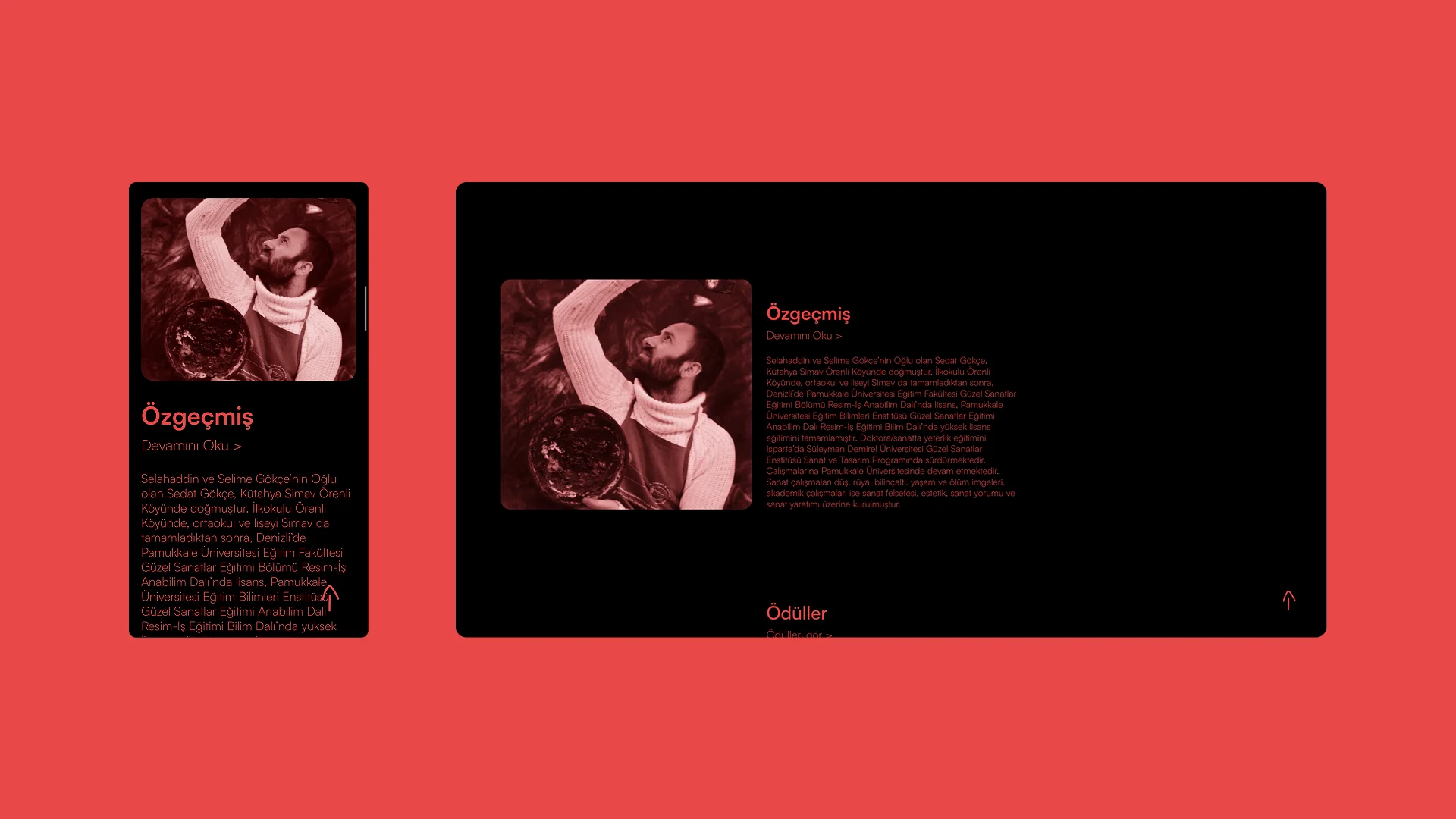 Website showcase about