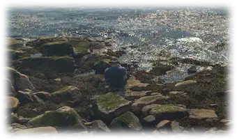 Personne assise sur des rochers couverts d’algues, enregistrant les sons marins face à l’eau scintillante.