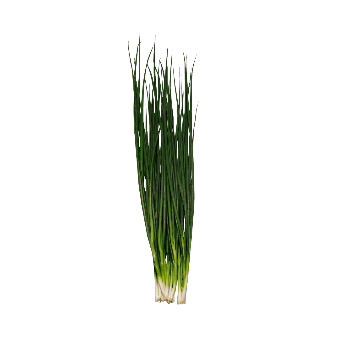 cebolinha-tokyo-kuro