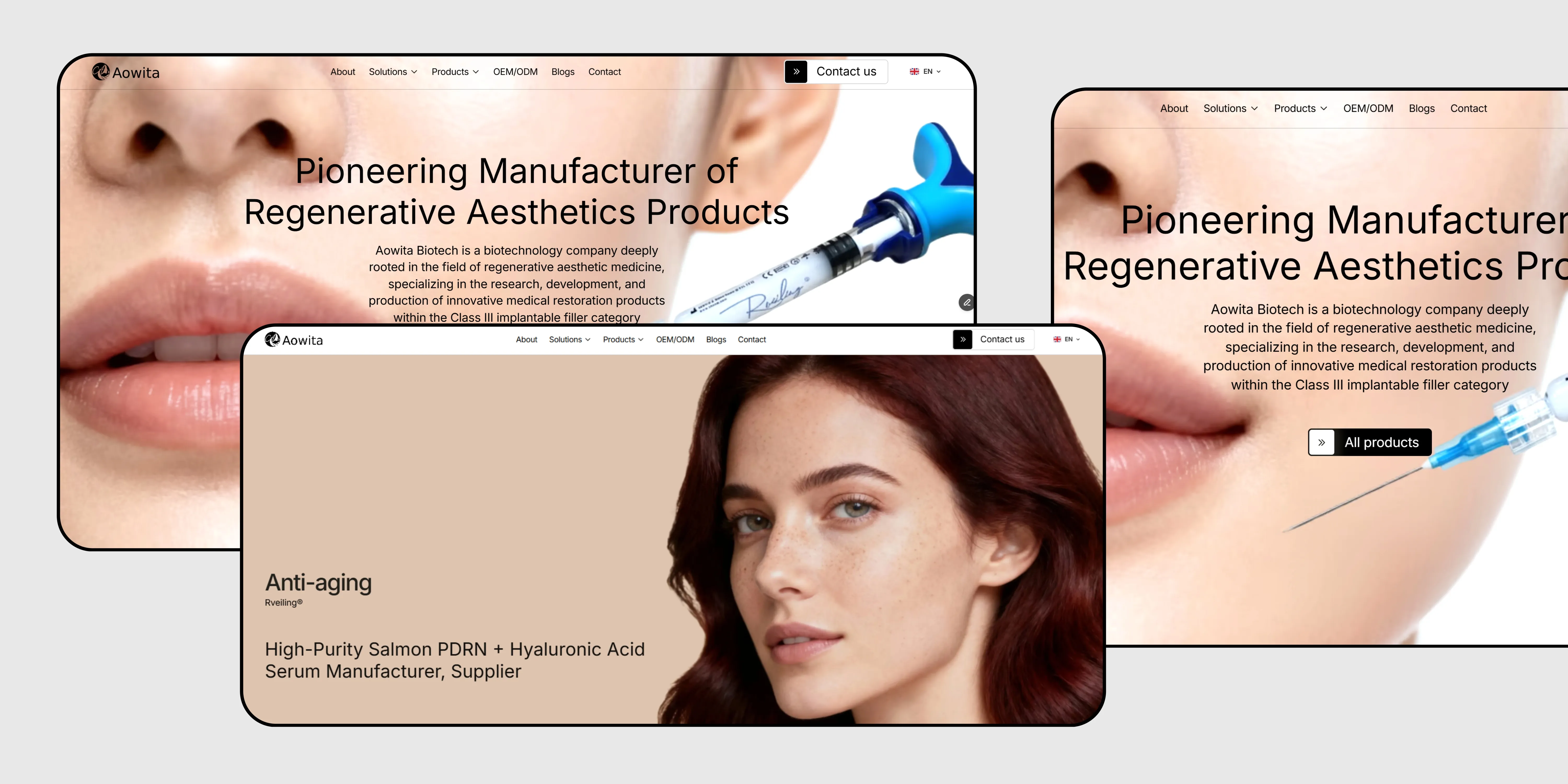 Custom B2B website design and development project for global market entry