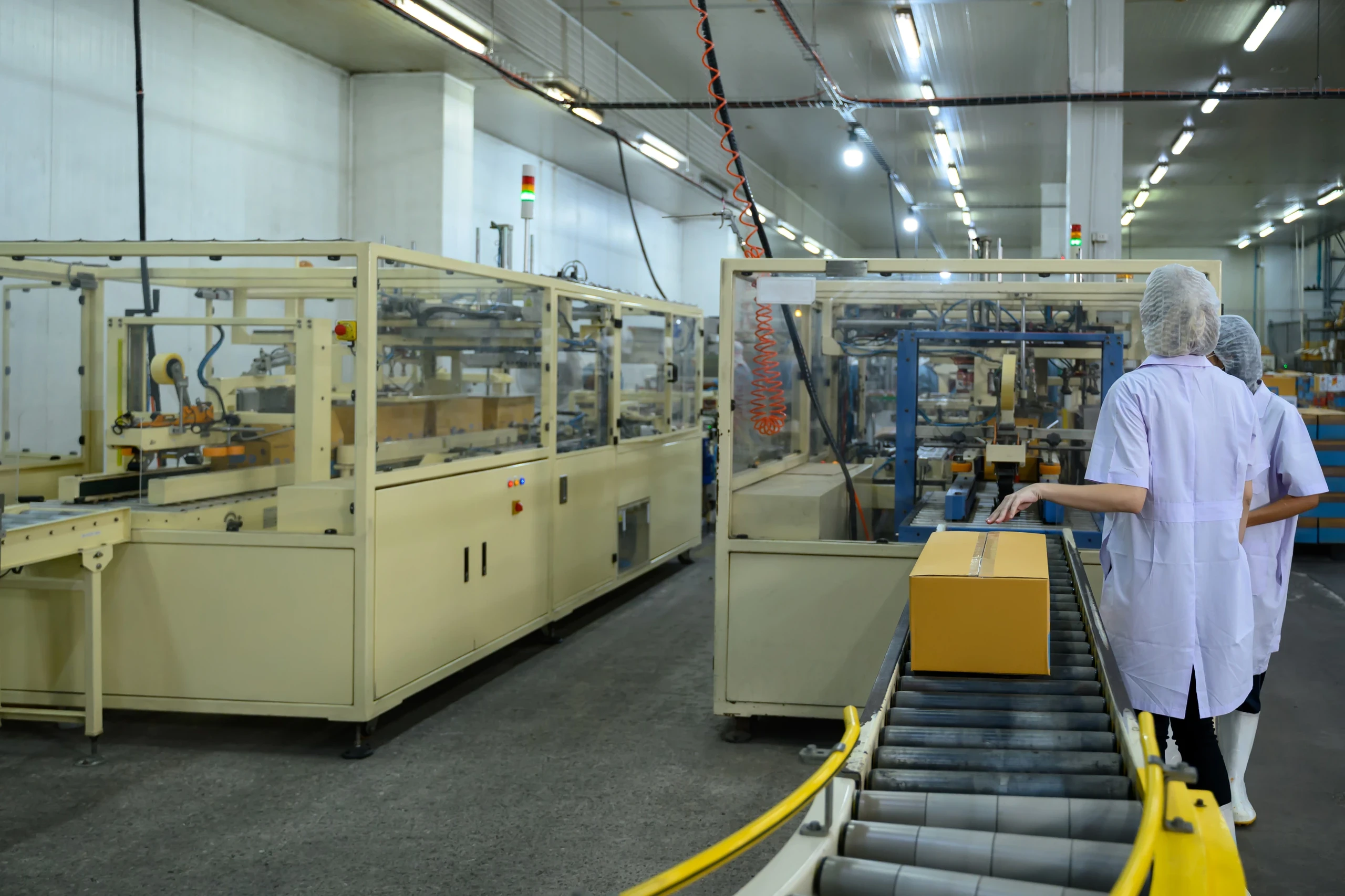Workers overseeing boxed product moving along a conveyor line in a bright plant.