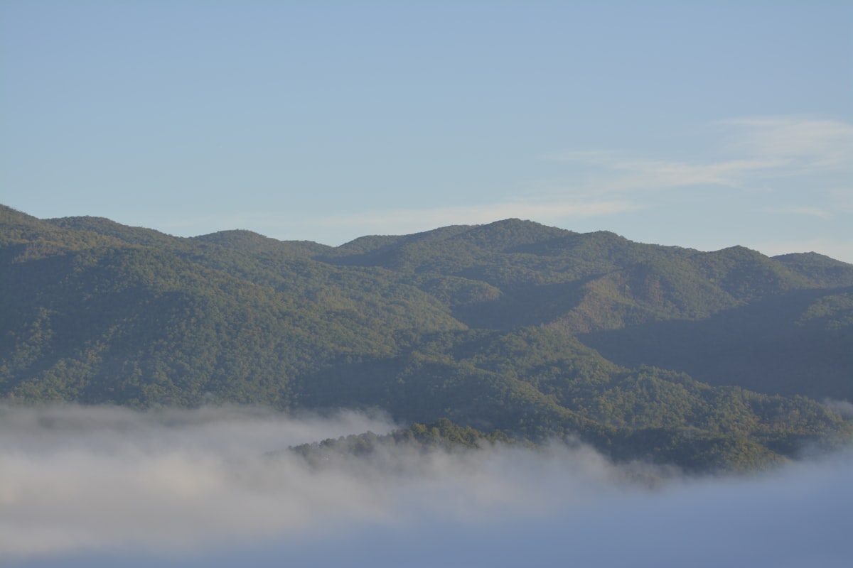 Layered Blue Ridge Mountains shrouded in morning mist with green trees