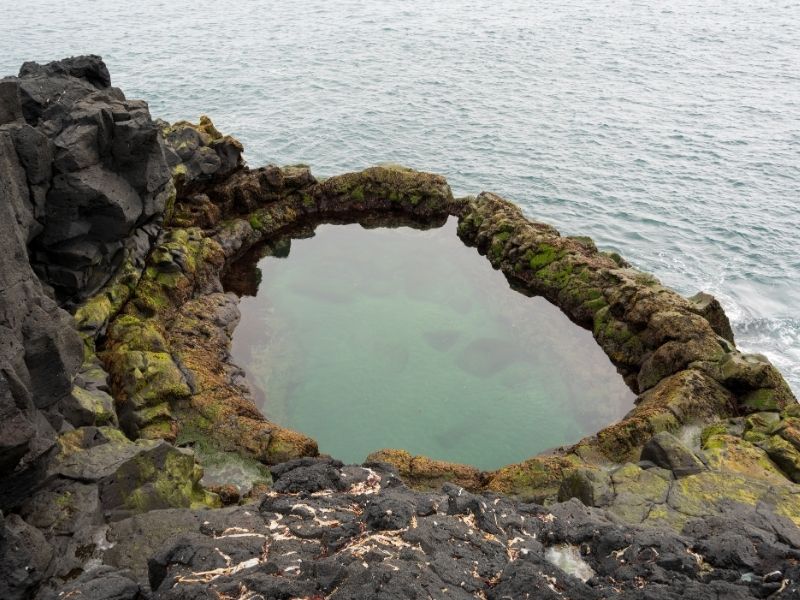 Natural lava pool at Brimketill in Iceland, formed in dark basalt rock along the coastline, filled with clear seawater and surrounded by moss-covered volcanic formations.
