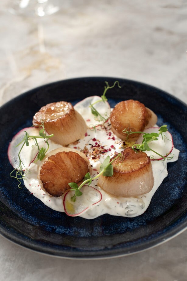 Zaytinya Food Scallops