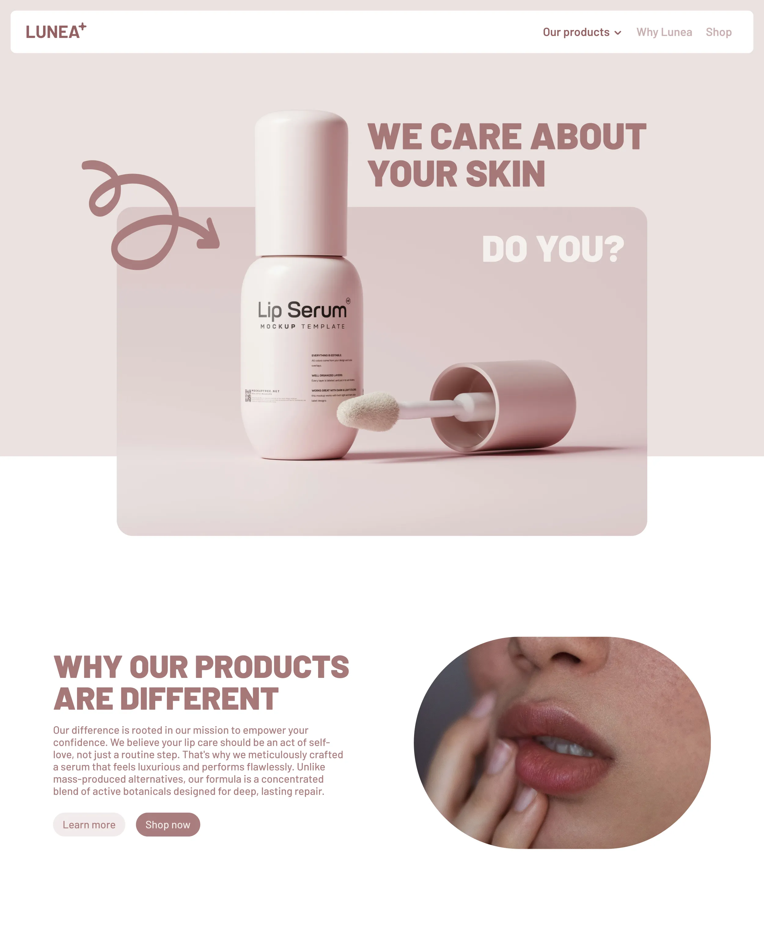 An eye catching hero section with a short product description afterwards