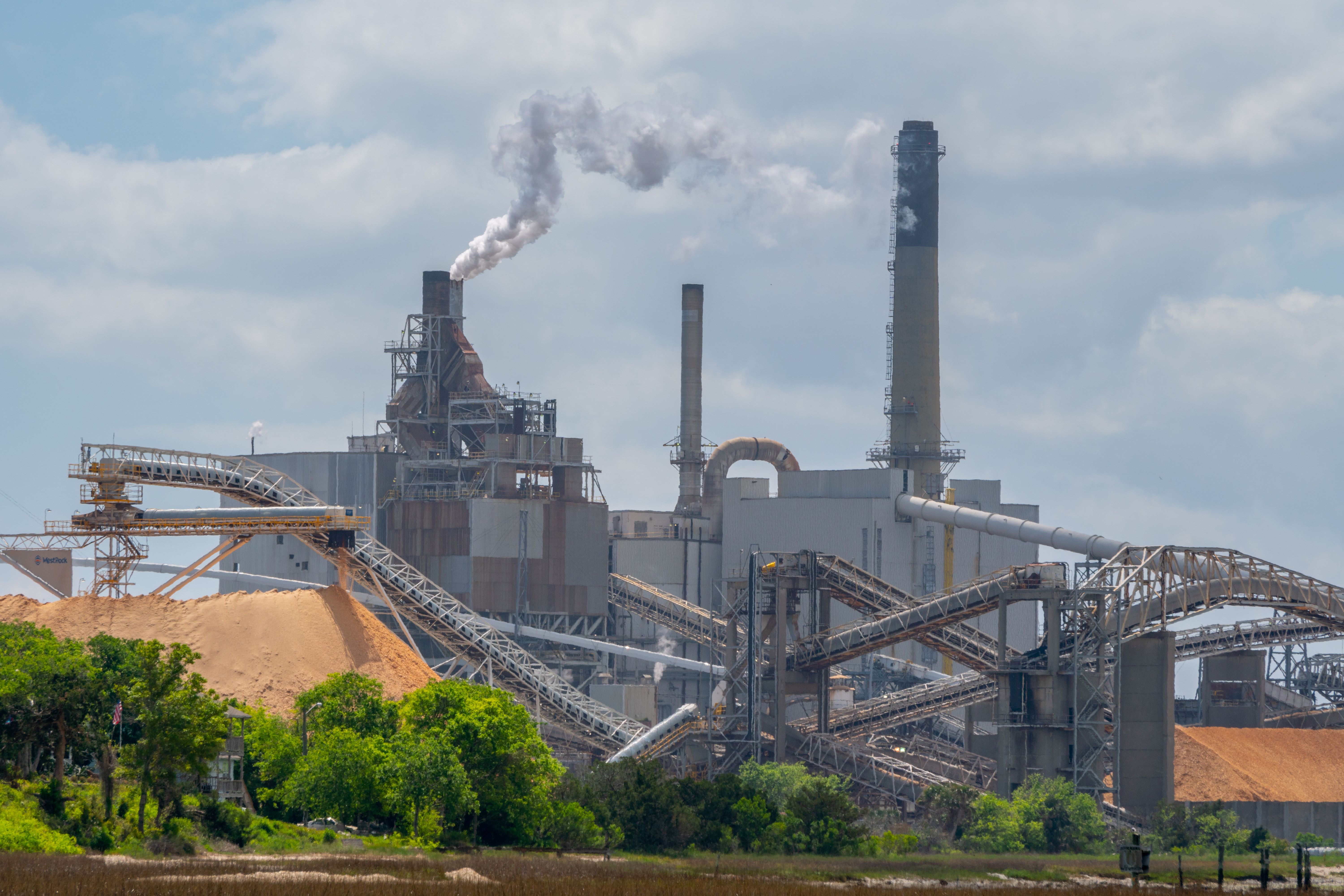 Large-scale paper manufacturing plant with pulp processing equipment
