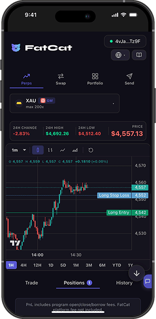 Cell phone with FatCat app in LINE showing a Solana chart