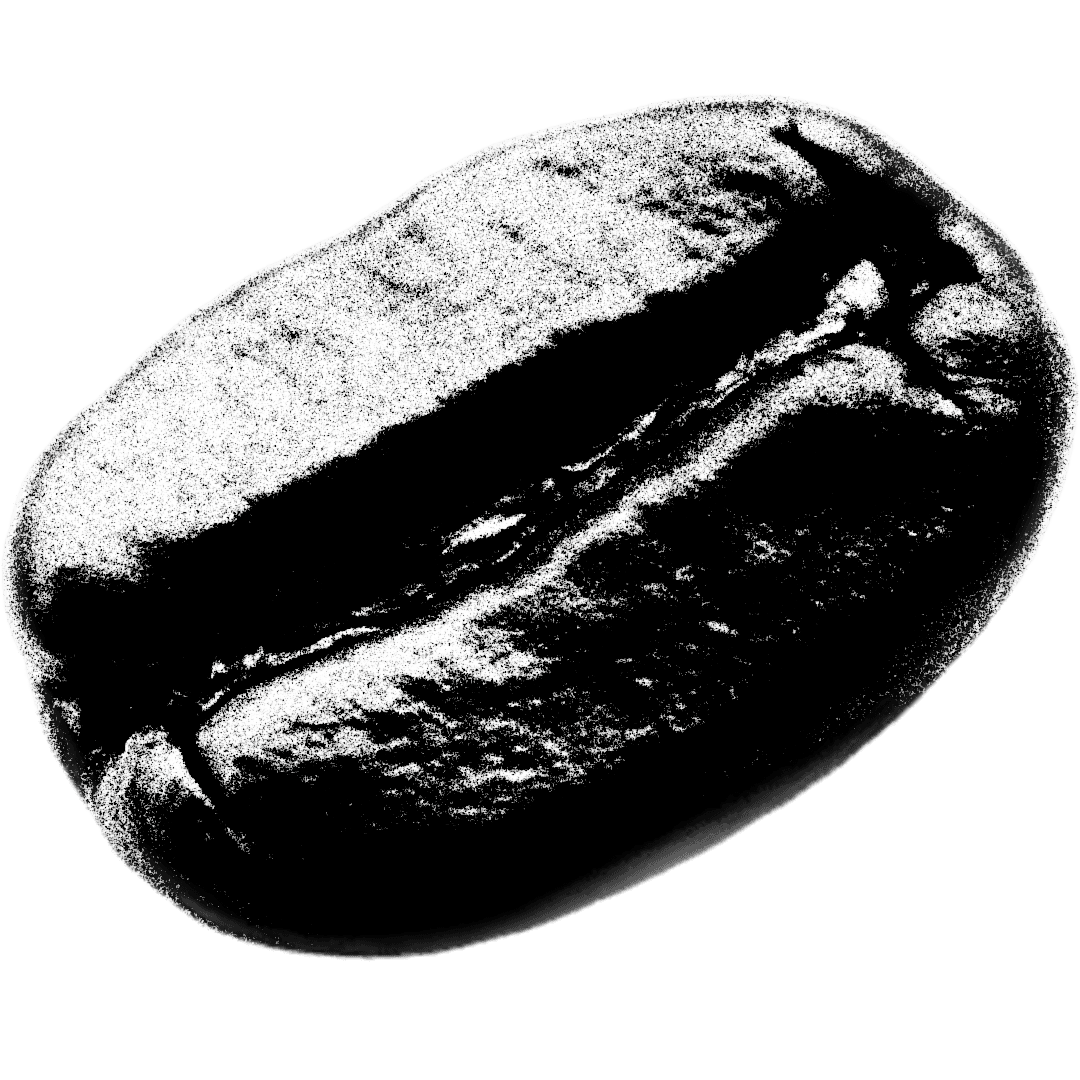 A close-up of a single dark coffee bean, showcasing its glossy surface and distinct shape.