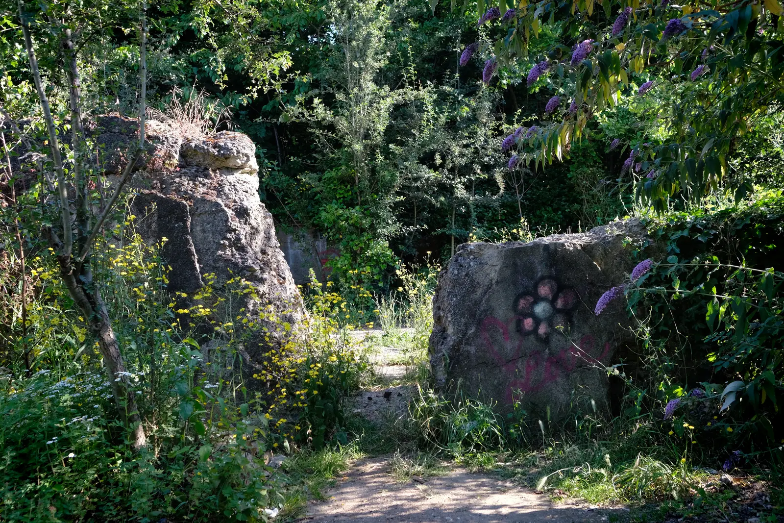 A serene natural scene featuring green grass, rocks, and blurred background foliage.