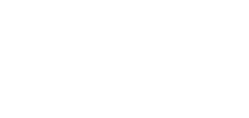Stripped Recordings Logo