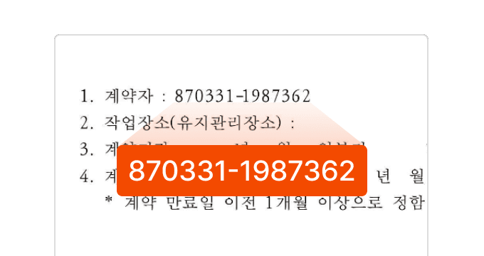 텍스트 문서 내 개인정보 패턴 탐지