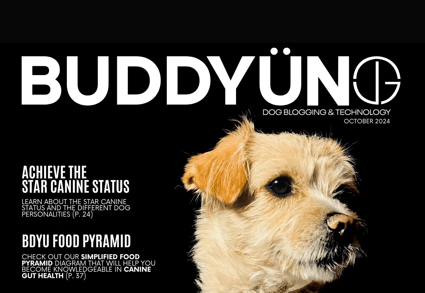 buddyuno magazine - preview cover