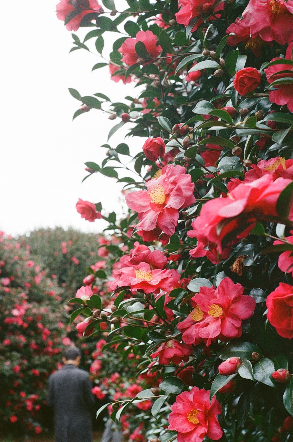 a cell phone leaning on a ledge