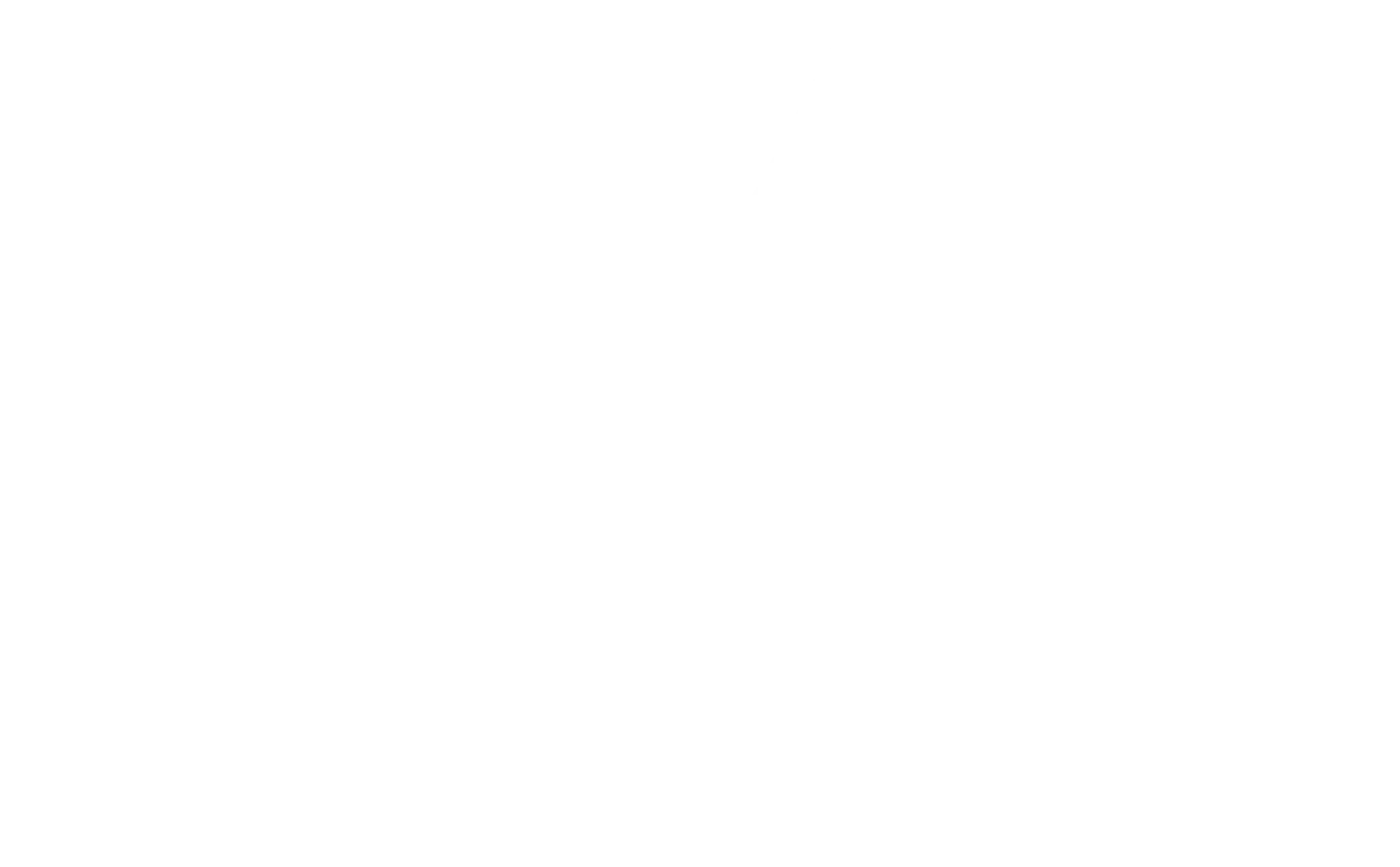BG Ornament
