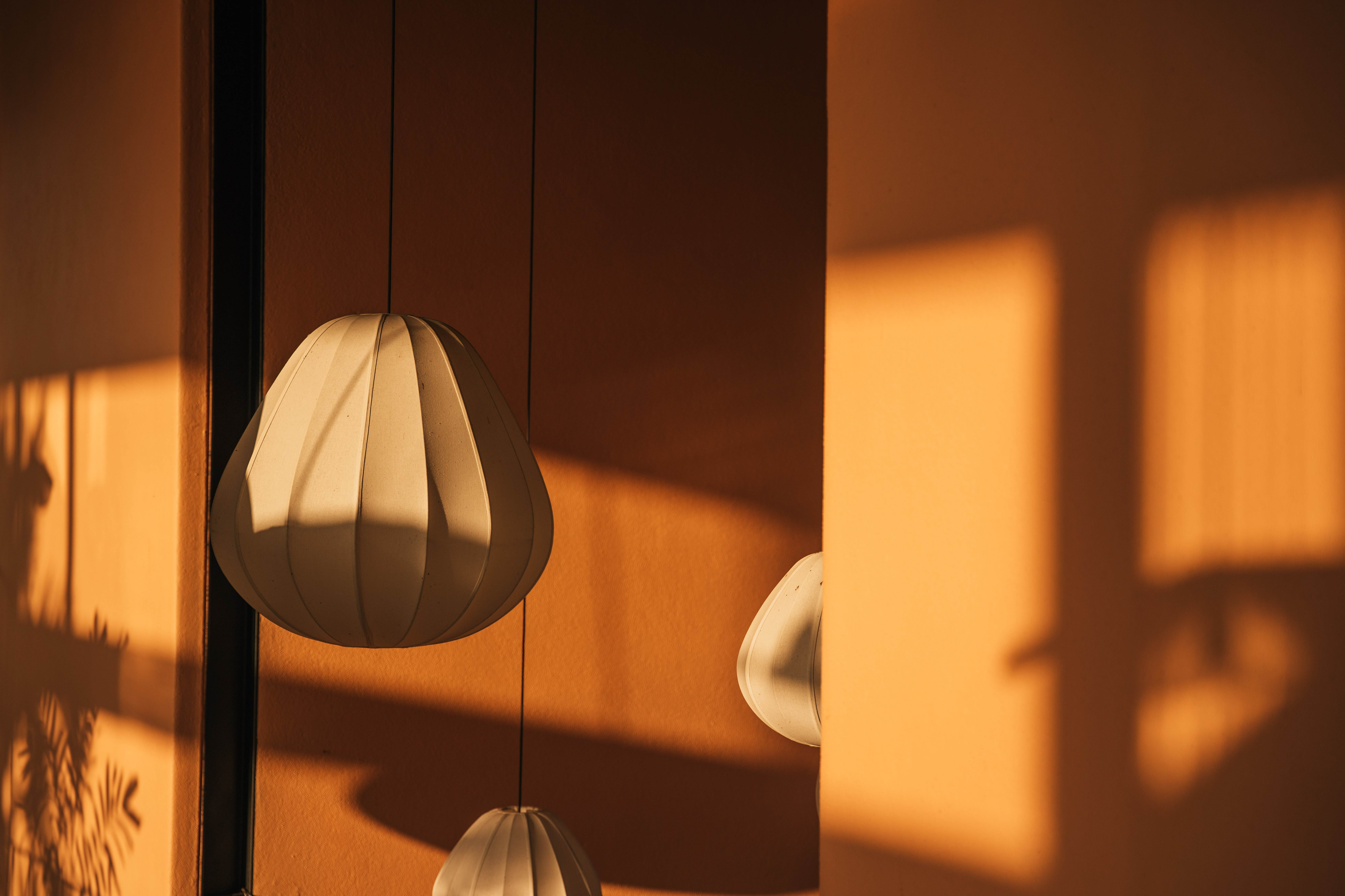 Yoga shala with glass windows surrounded by nature