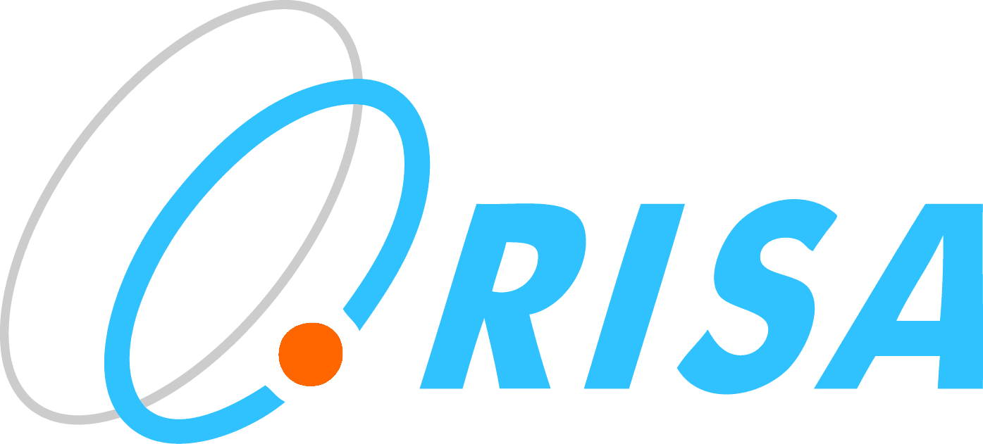 RISA — Rolston Information Systems Assurance, LLC