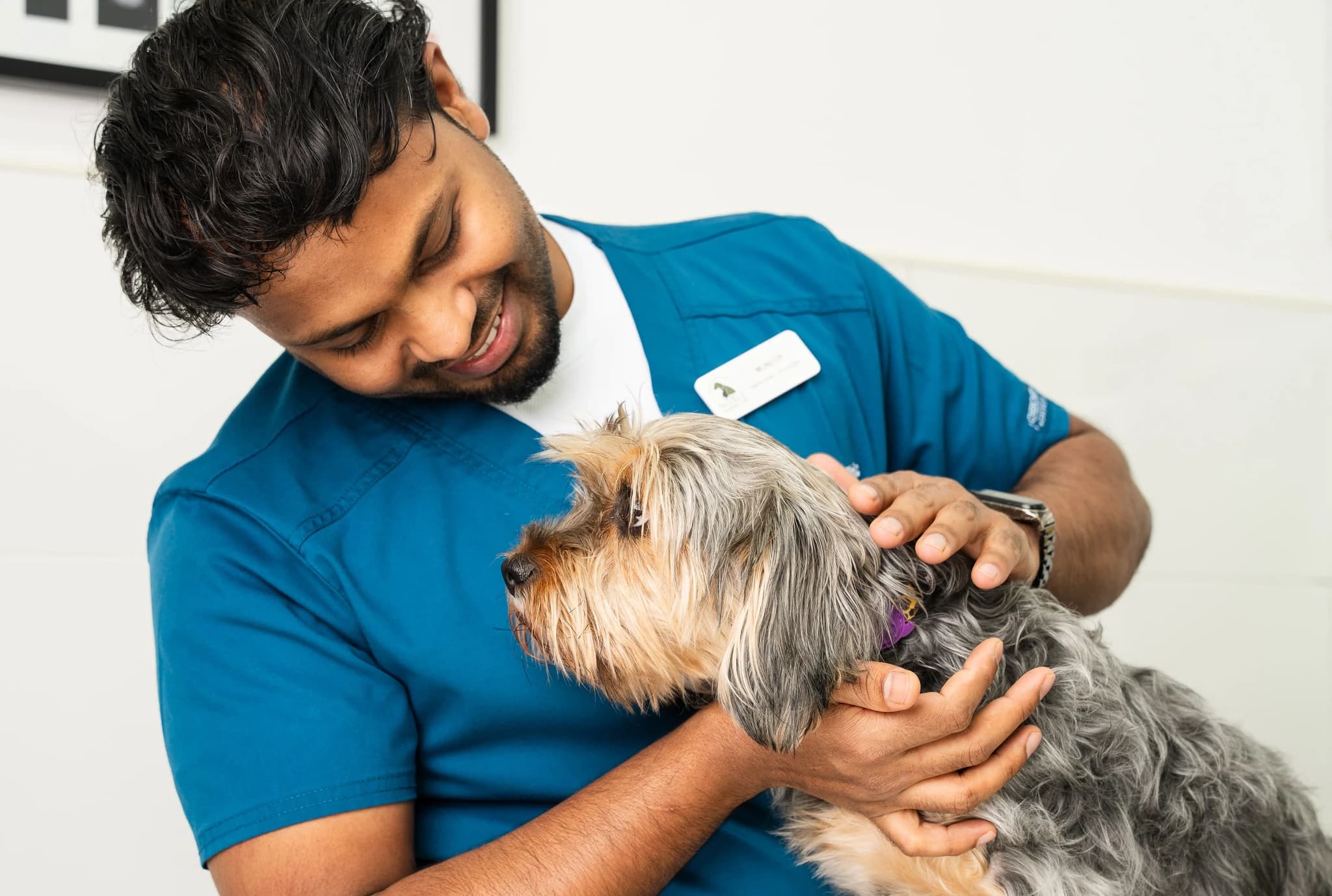 A veterinarian is trying to keep a dog comfortable while giving a checkup for leaky gut.