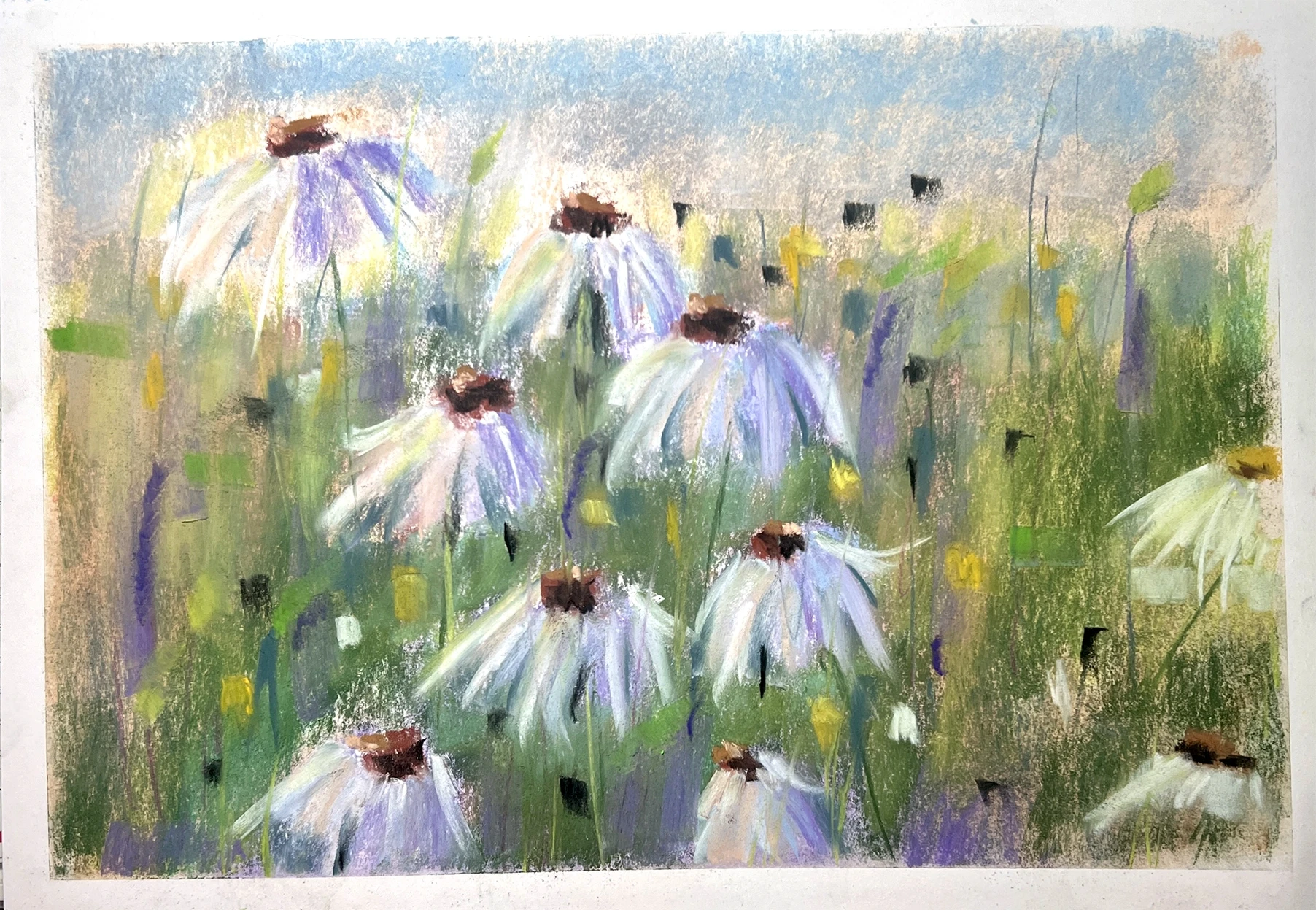 Dancing Cone Flowers - 42/29.7cm - Soft Pastel