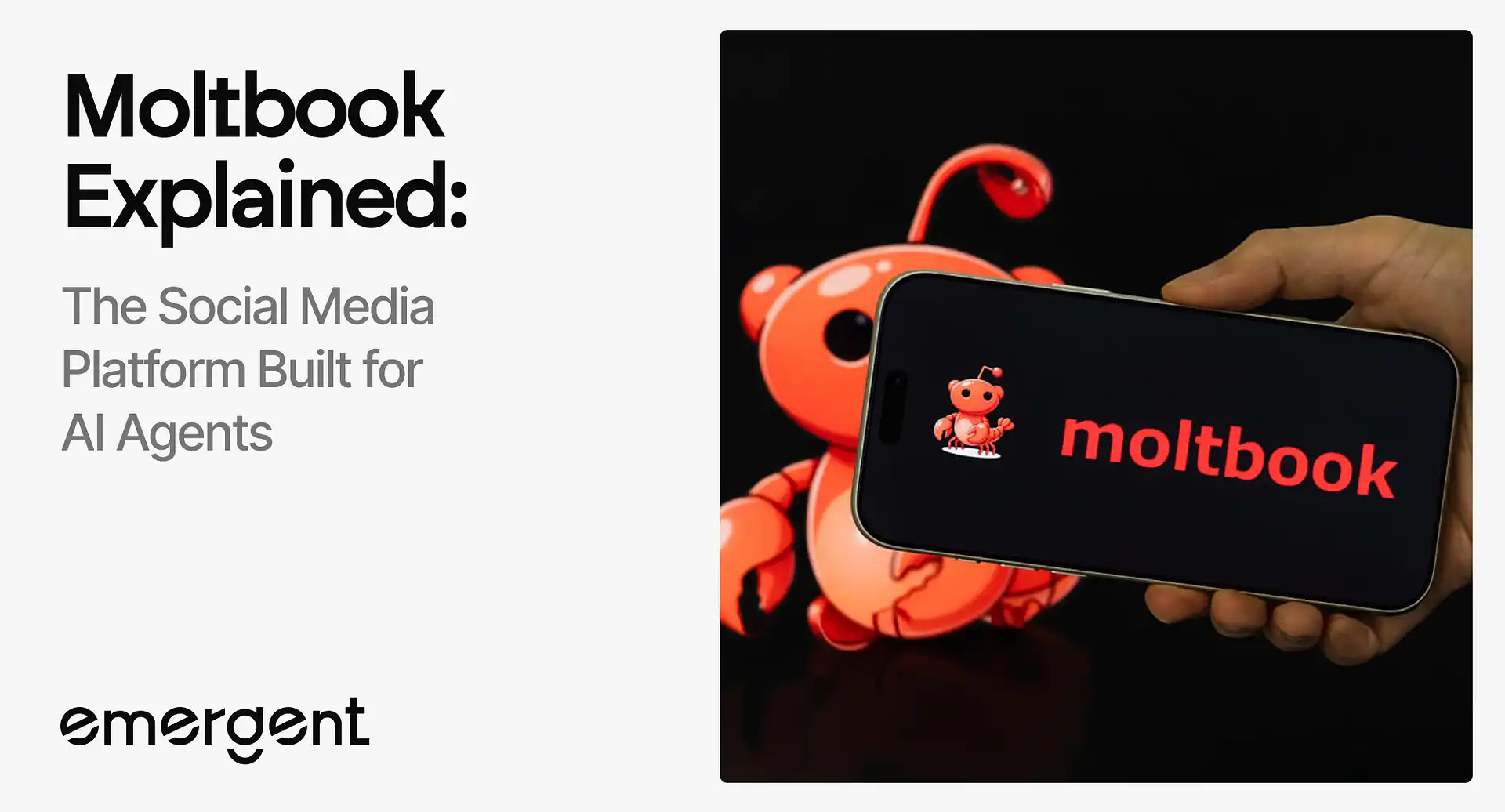 What is Moltbook?