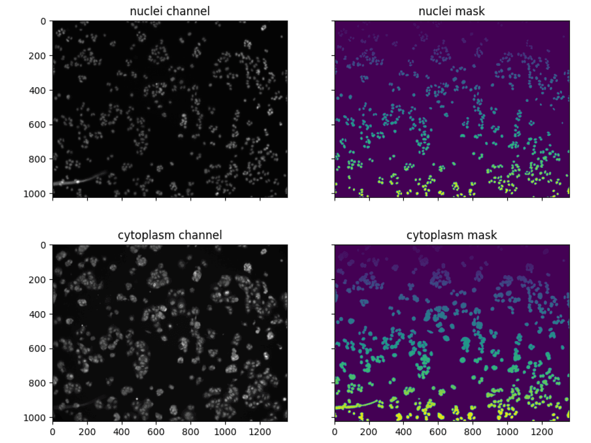 Cellular Segmentation Using Cellpose Cover Image