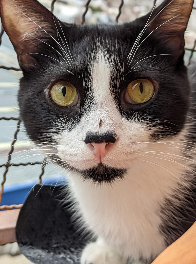 Smiling male