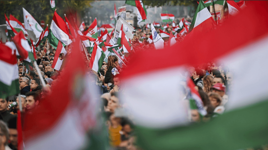 green grass field under blue sky during daytime