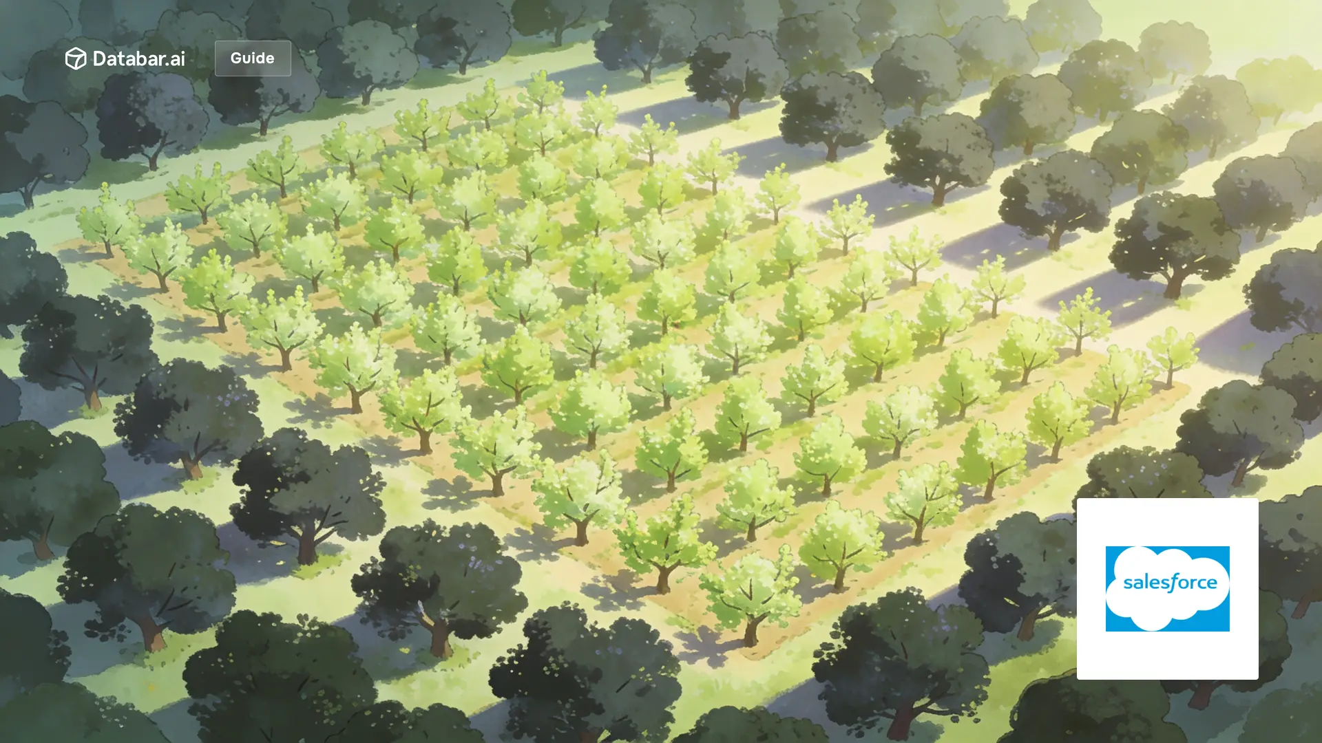 Salesforce data enrichment, illustrated as a large orchard at first light where one block has been newly grafted
