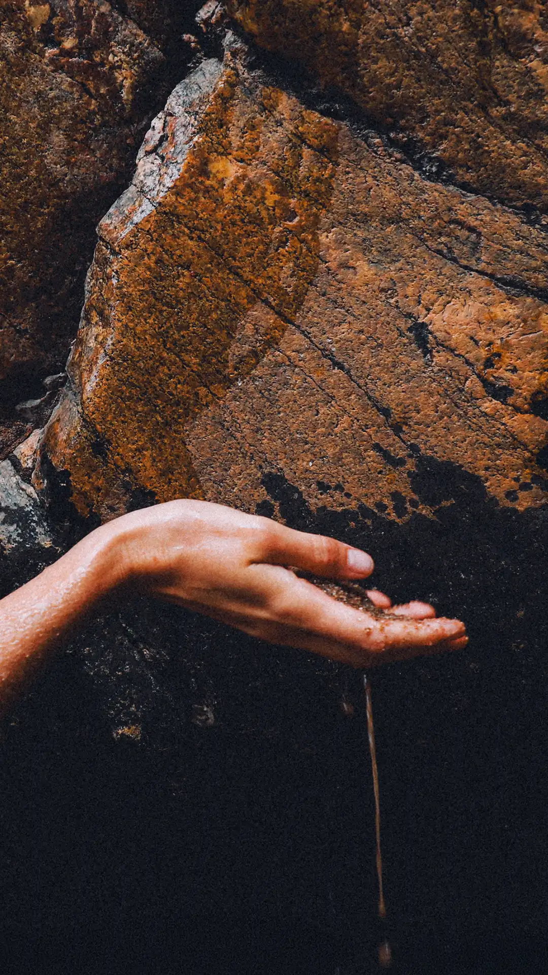 Elevate Life, healing retreats coming soon