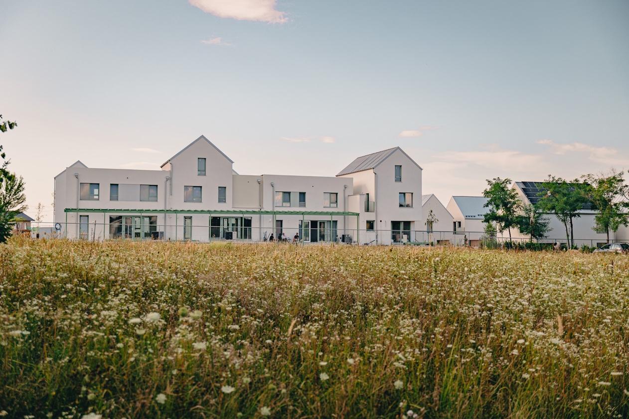 A large field of flowers in front of a white building
AI-generated content may be incorrect.