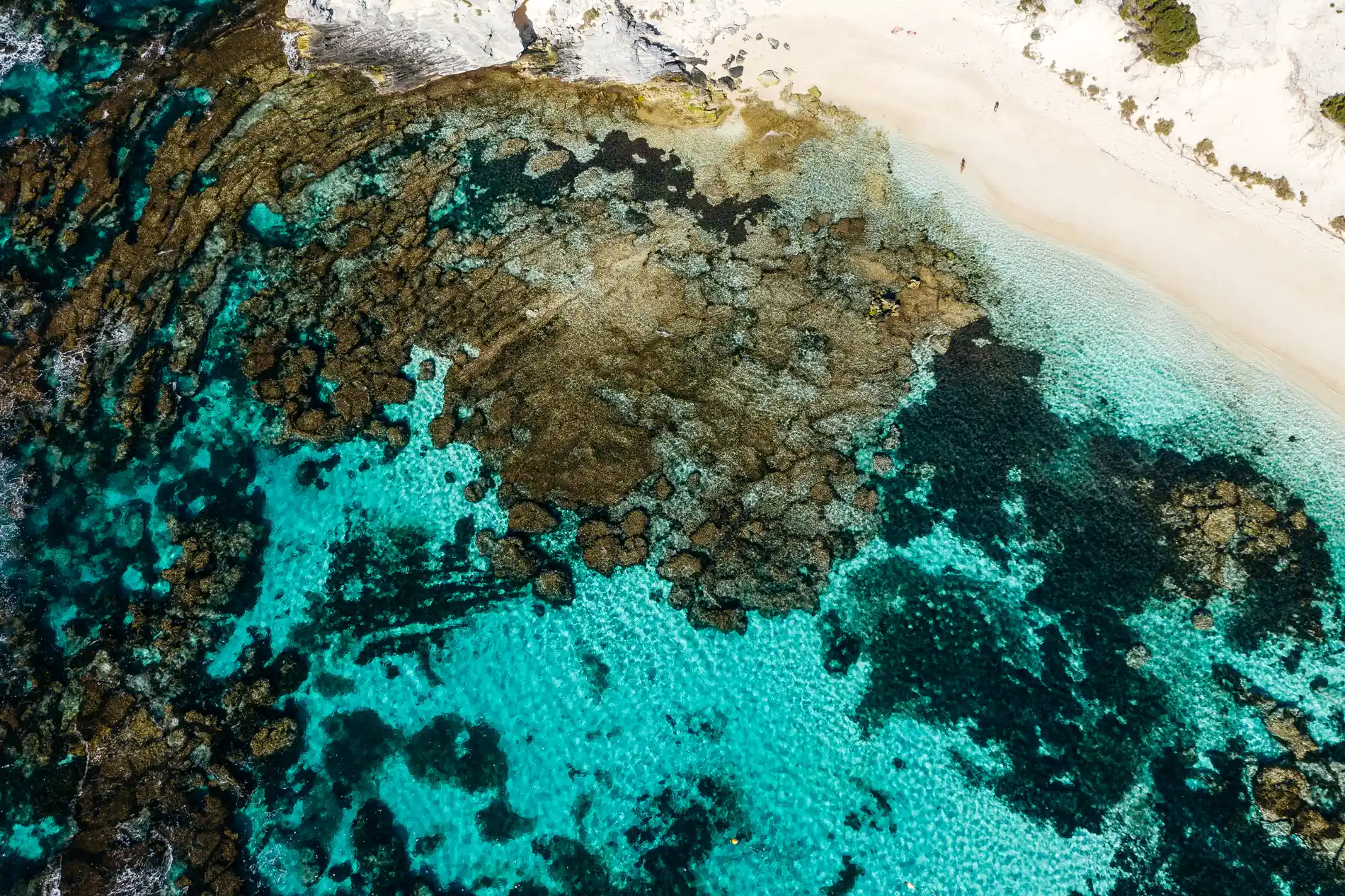 Aerial of reef and turquoise shallows meeting a white beach