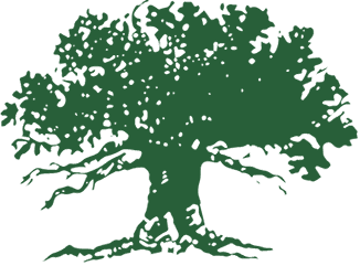 Kiawah Tree logo