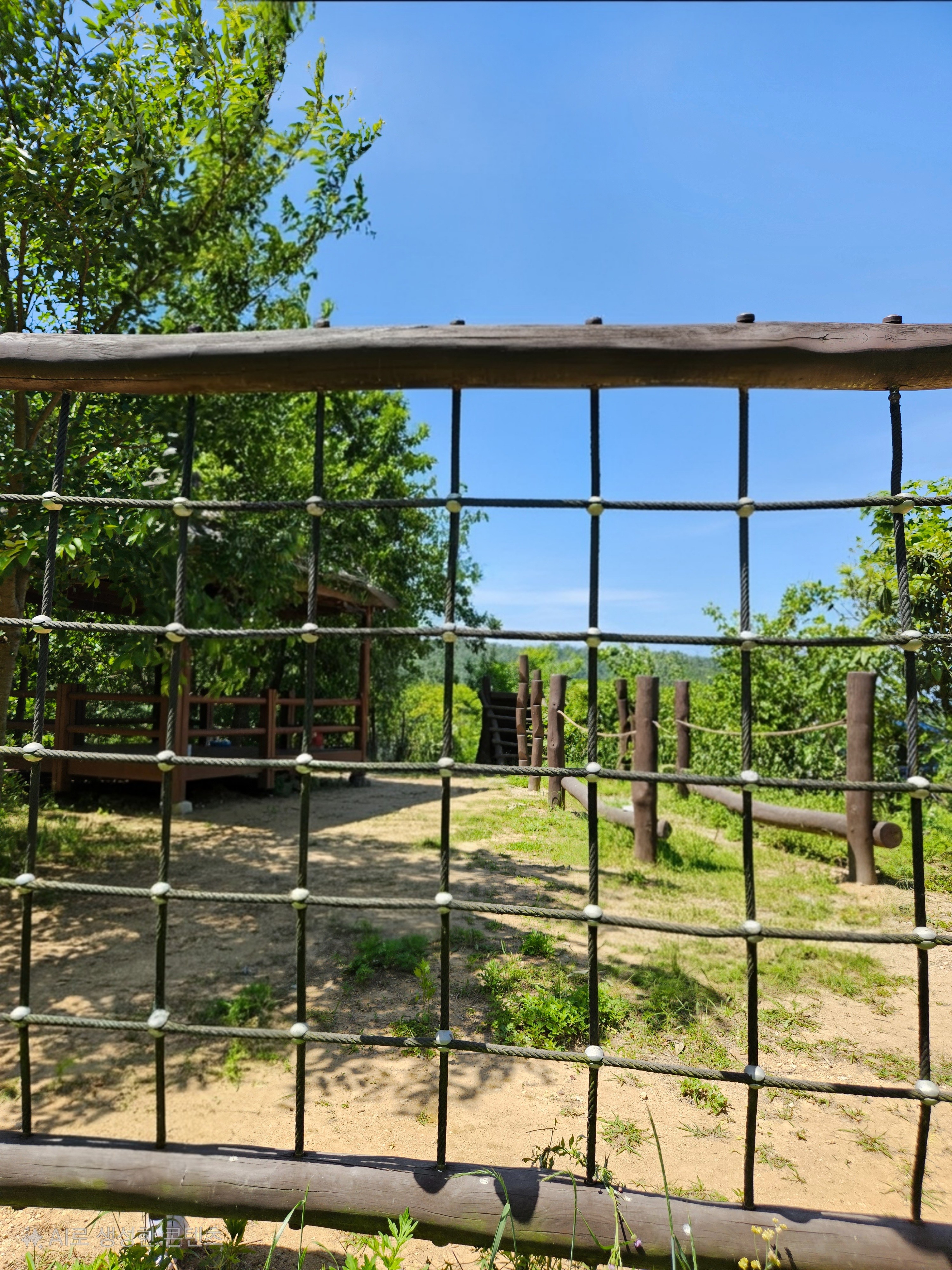 people in swimming pool