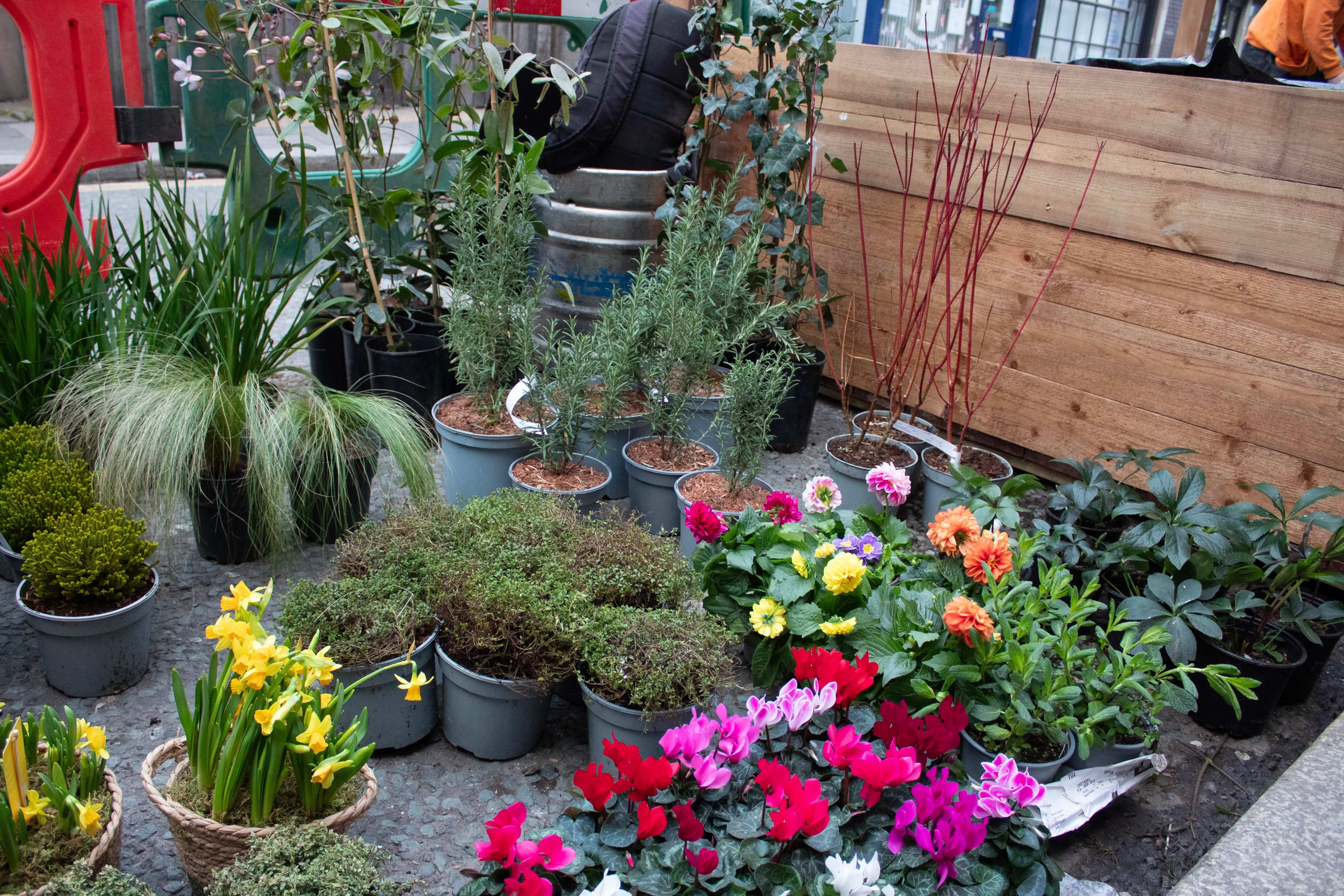 A variety of potted plants and flowers, including bright blooms, displayed on a market stall.
