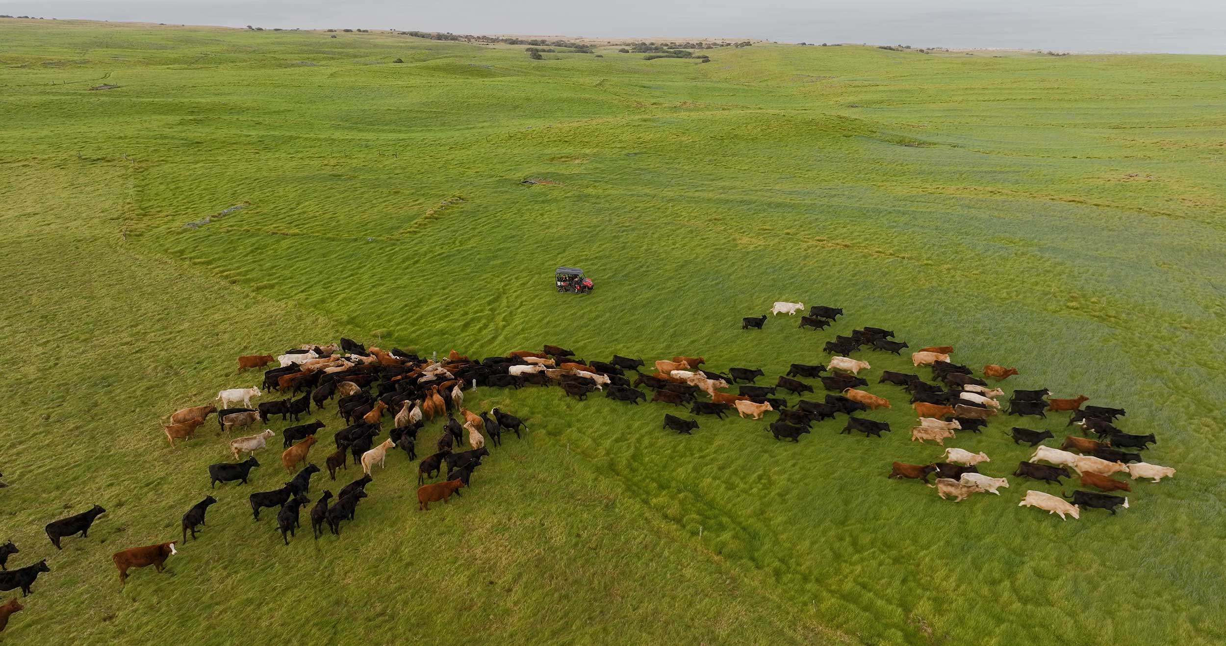 Streetside billboard with flyposters of the Batch.Works brand and illustrations