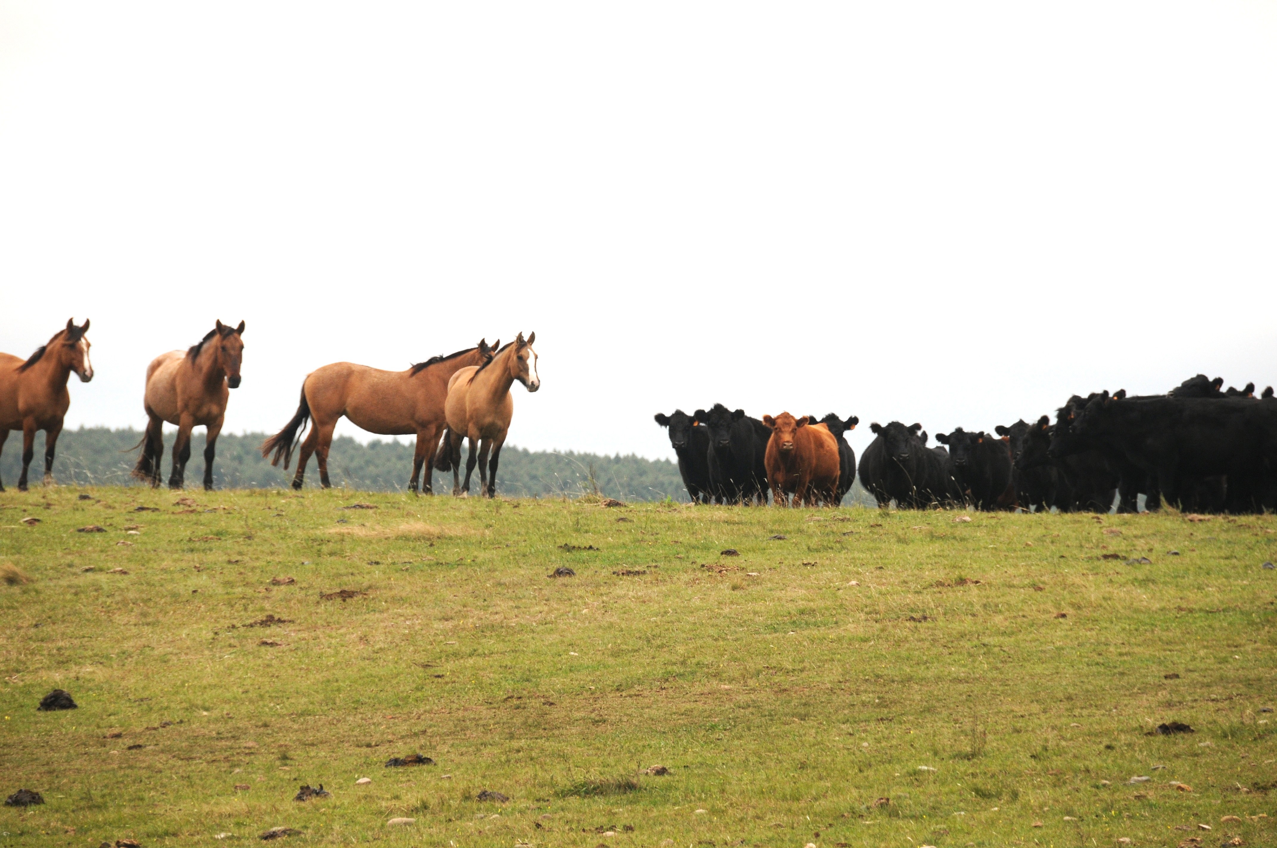 Atomo Rural Residuos