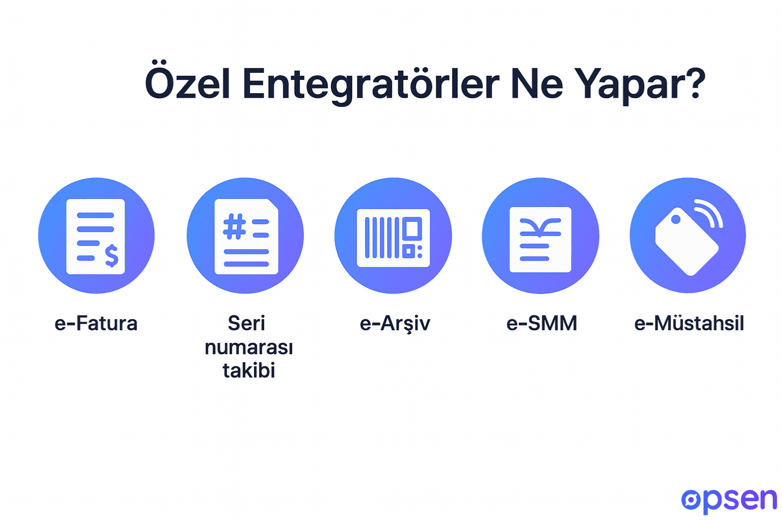 Özel Entegratörler Ne Yapar?