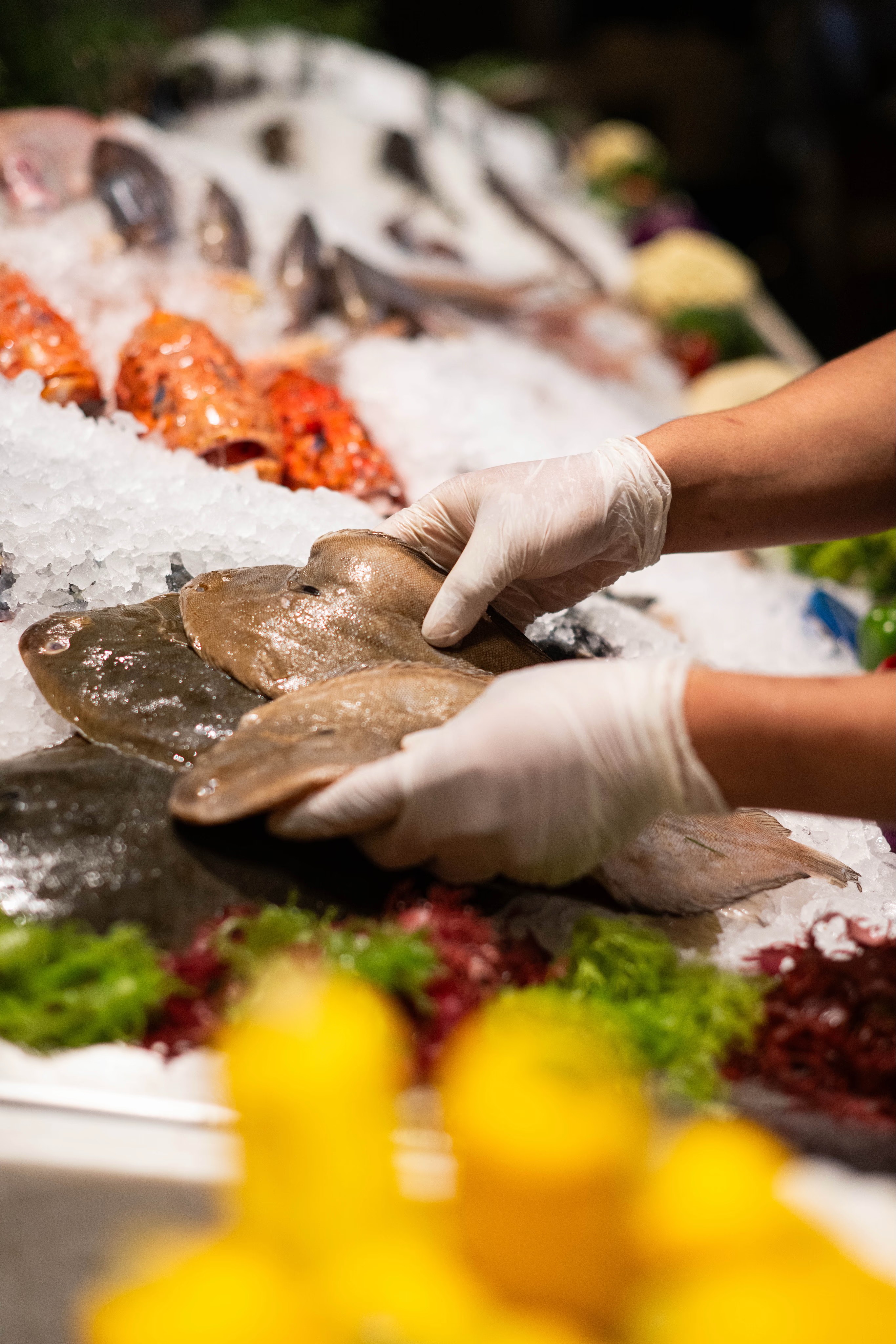 A close-up of a seafood display with various fish, garnished with greens and surrounded by vibrant lemons.