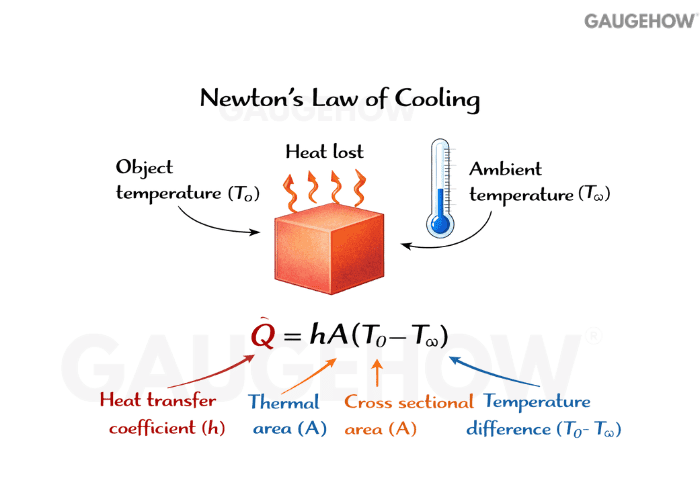 Newton law of cooling equation