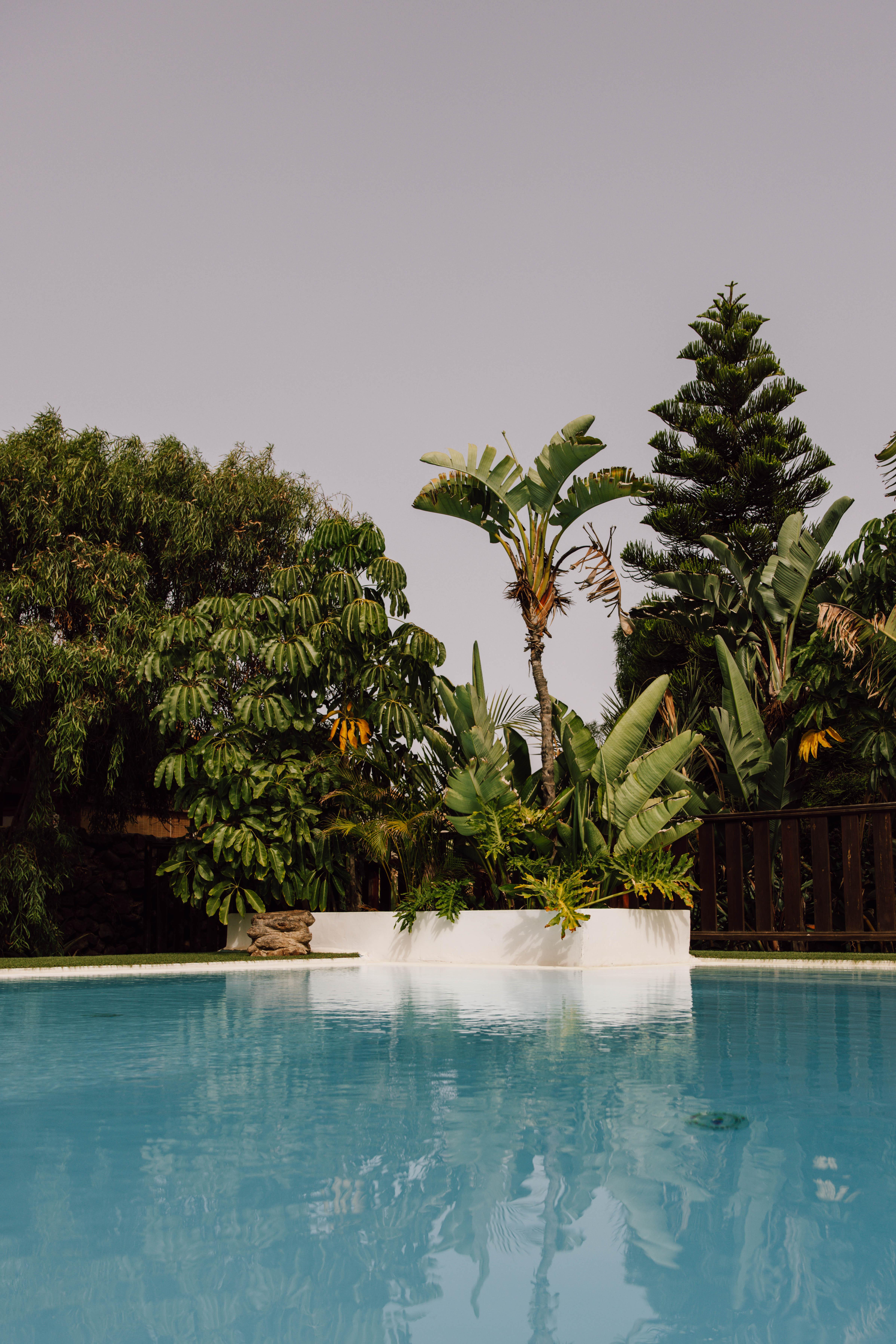 piscina y diseño en fuerteventura