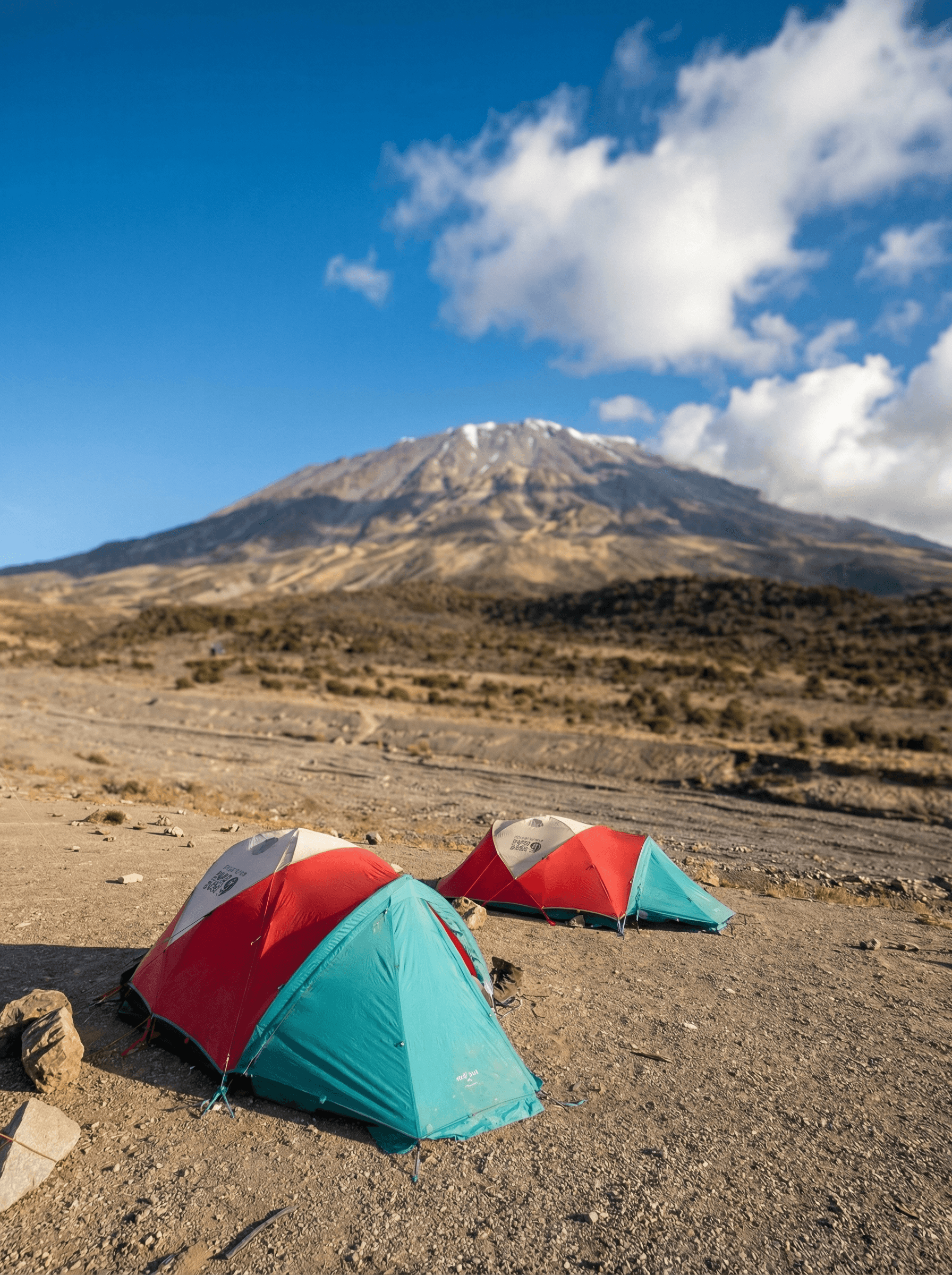 Collection of AlUla desert landscapes — golden dunes, sandstone cliffs, and authentic travel moments captured under natural light.